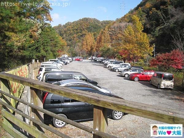 🌸 별꽃 공원(호시노하나 코엔) 이미지 8